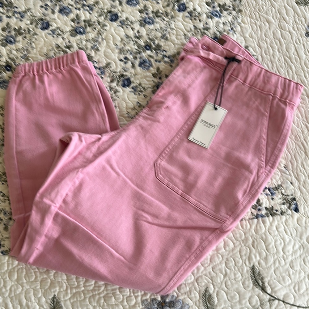 Pink Judy Blue Denim Jogger Pants